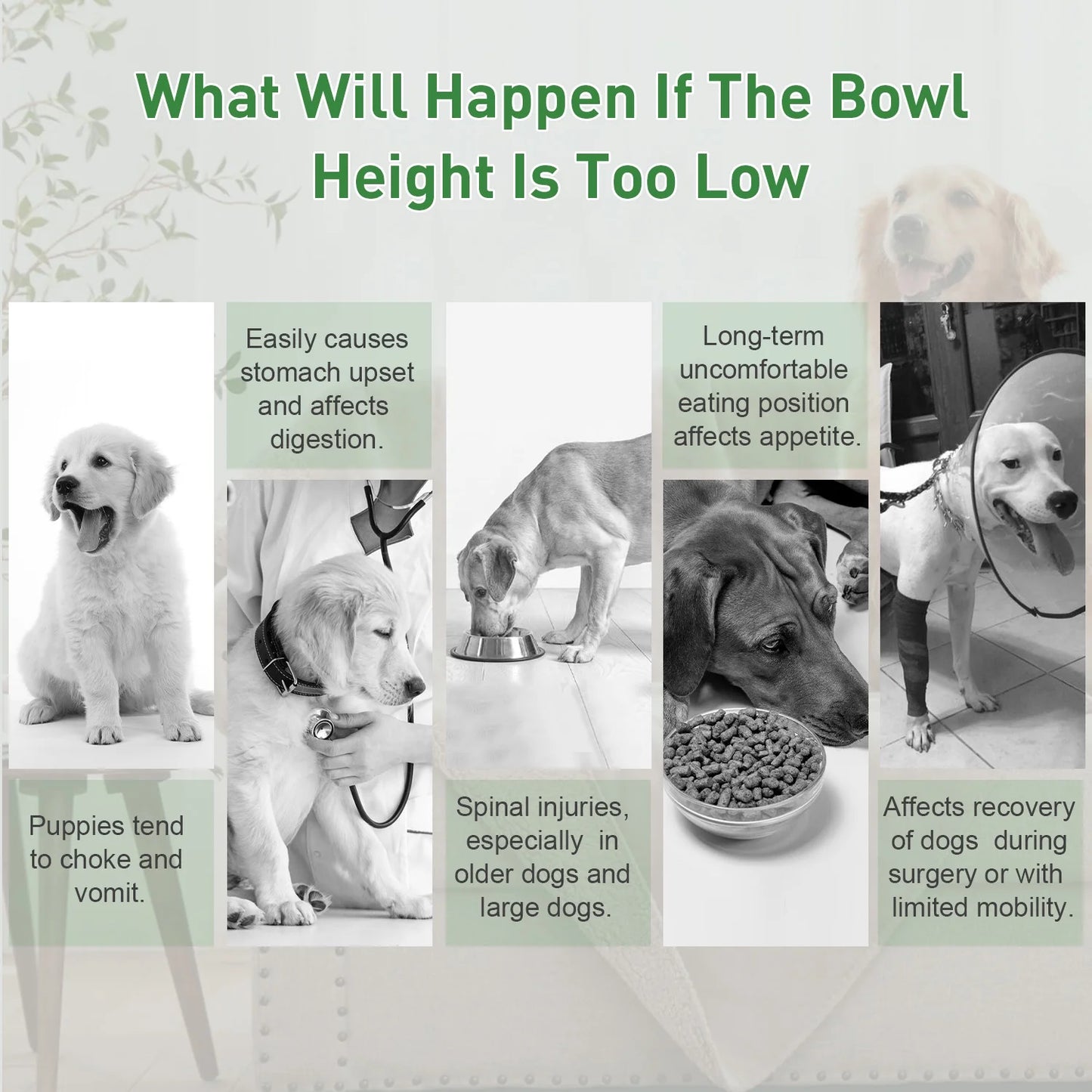 MOONORAH Elevated Dog Bowls, 2 in 1 Adjustable Raised Dog Bowl Stand with Stainless Steel Dogs Food Bowl & Slow Feeder Dog Bowls, 5 Heights for Small Medium Large Dogs Pets with Non-Slip Feet