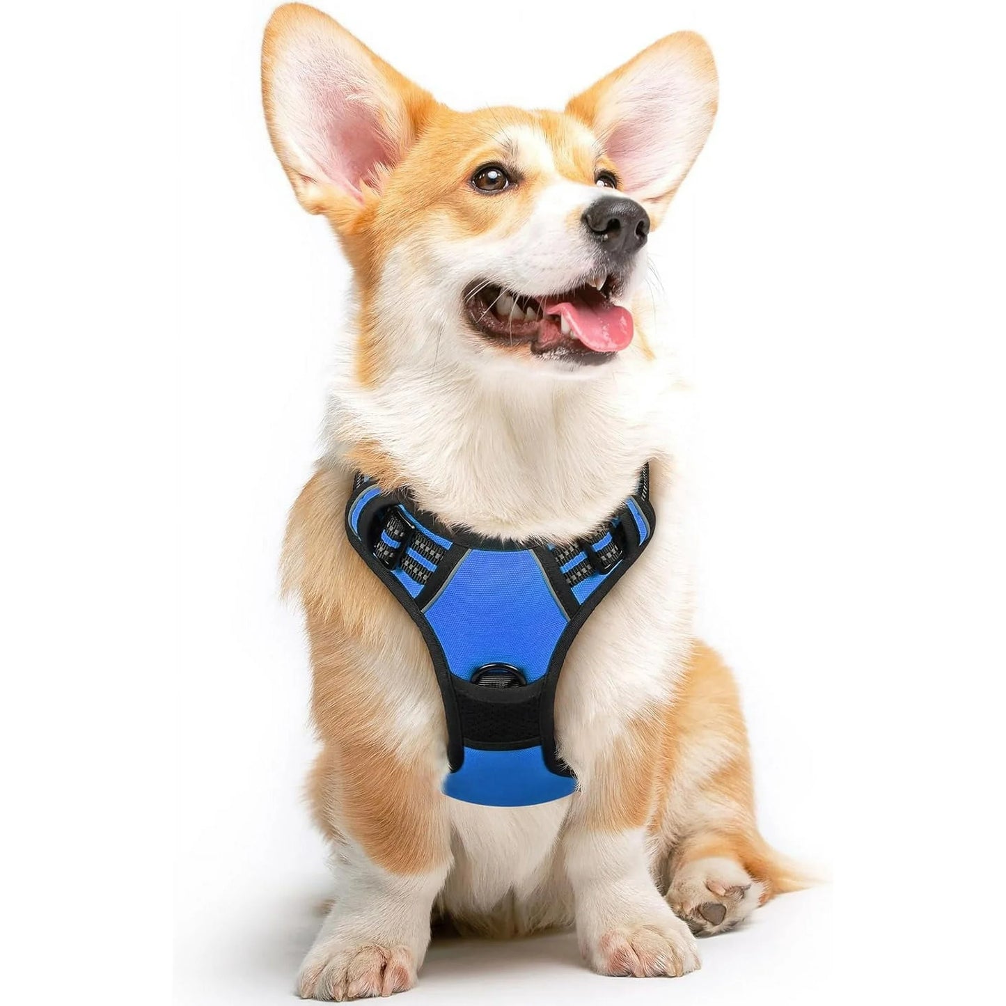 MOONORAH Dog Harness, No-Pull Pet Harness with 2 Leash Clips, Adjustable Soft Padded Dog Vest, Reflective Outdoor Pet Oxford Vest with Easy Control Handle for Small Dogs, Navy Blue
