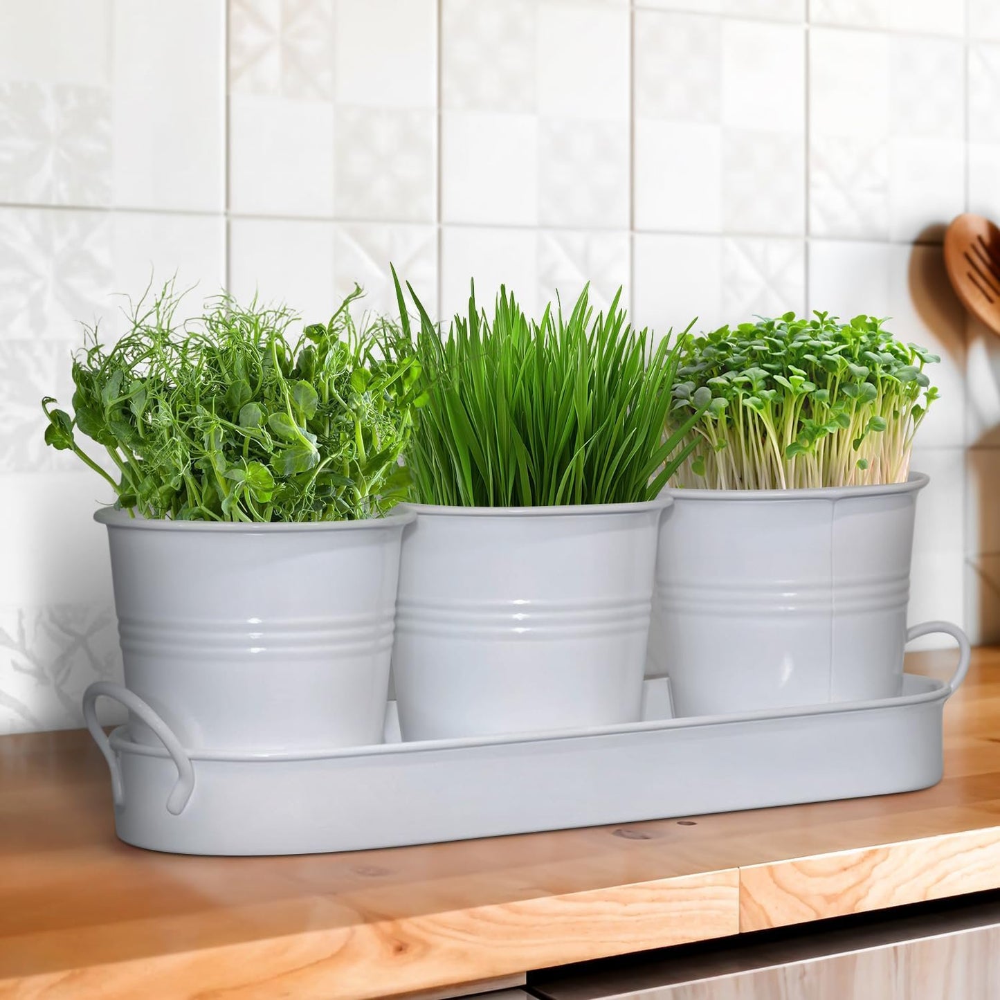 MOONORAH Herb Garden Planter, Kit with Tray Metal, Windowsill Plant Pots with Drainage, Home Decoration Planters, Succulents Planters, Kitchen Herb Garden for Outdoor or Indoor Plants, Set/3 (White)