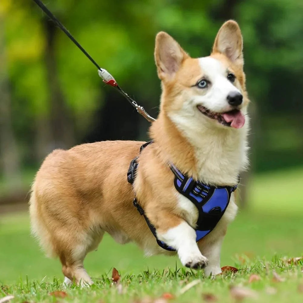 MOONORAH Dog Harness, No-Pull Pet Harness with 2 Leash Clips, Adjustable Soft Padded Dog Vest, Reflective Outdoor Pet Oxford Vest with Easy Control Handle for Small Dogs, Navy Blue
