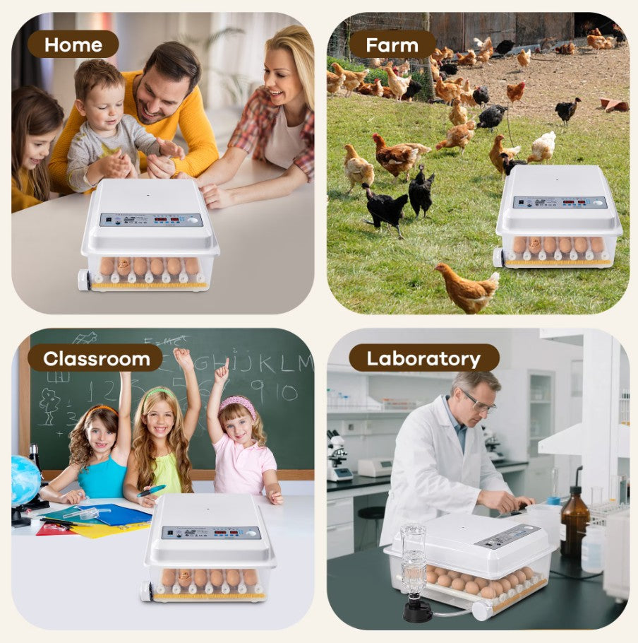 WANALIT 36 Eggs Incubators for Hatching Eggs,Egg Incubator with 4 Incubate Mode for Hatching Duck Goose Quail, Automatic Egg Turning Humidity Monitoring,Poultry Chicken Incubator with Egg Candle