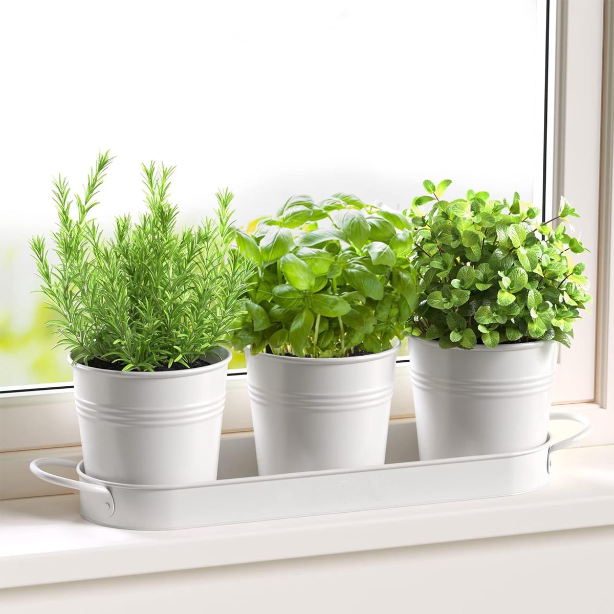 MOONORAH Herb Garden Planter, Kit with Tray Metal, Windowsill Plant Pots with Drainage, Home Decoration Planters, Succulents Planters, Kitchen Herb Garden for Outdoor or Indoor Plants, Set/3 (White)