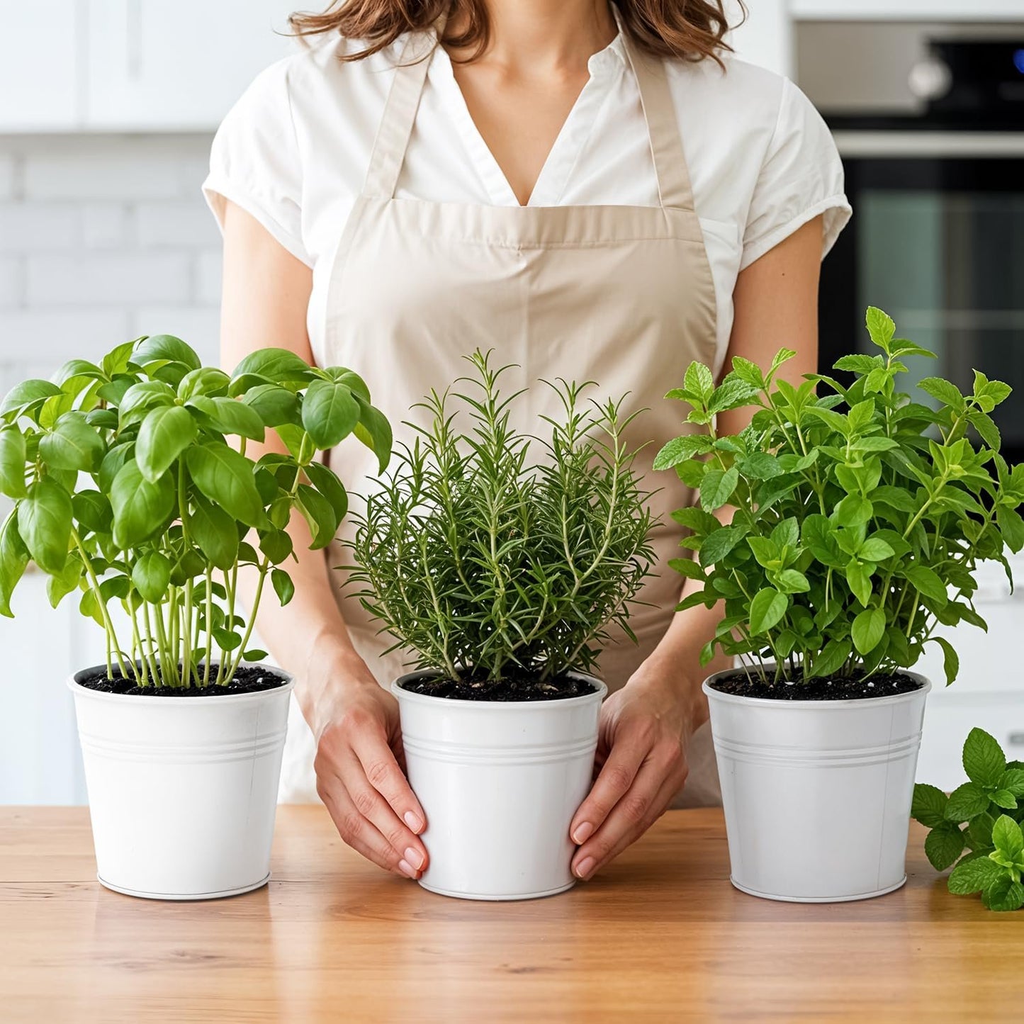 MOONORAH Herb Garden Planter, Kit with Tray Metal, Windowsill Plant Pots with Drainage, Home Decoration Planters, Succulents Planters, Kitchen Herb Garden for Outdoor or Indoor Plants, Set/3 (White)