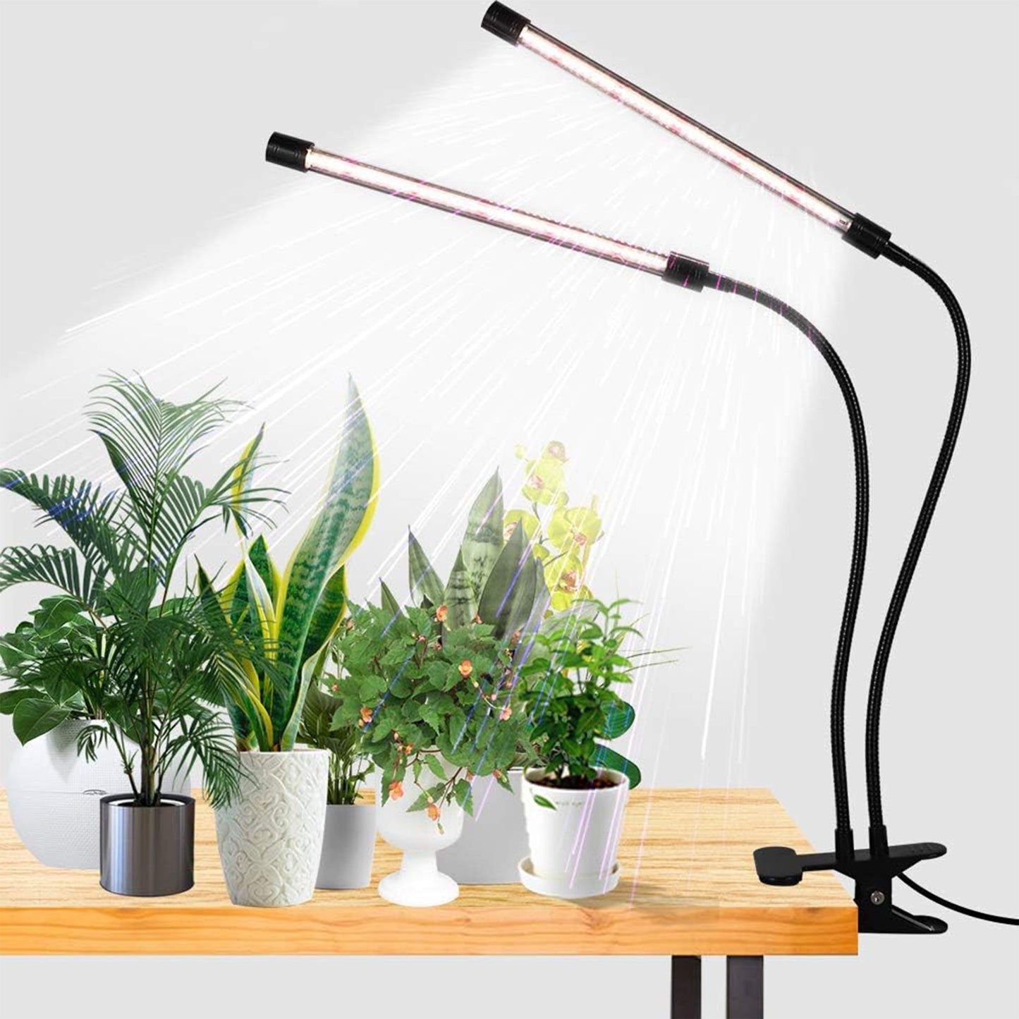 LOFTER-PRO Grow Lights for Indoor Plants, 84LED Clip Plant Light, 5 Level Dimmable Auto On Off Timing 4/8/12H, 6000K Full Spectrum Plant Grow Lamps for Bonsai, Pot Plant