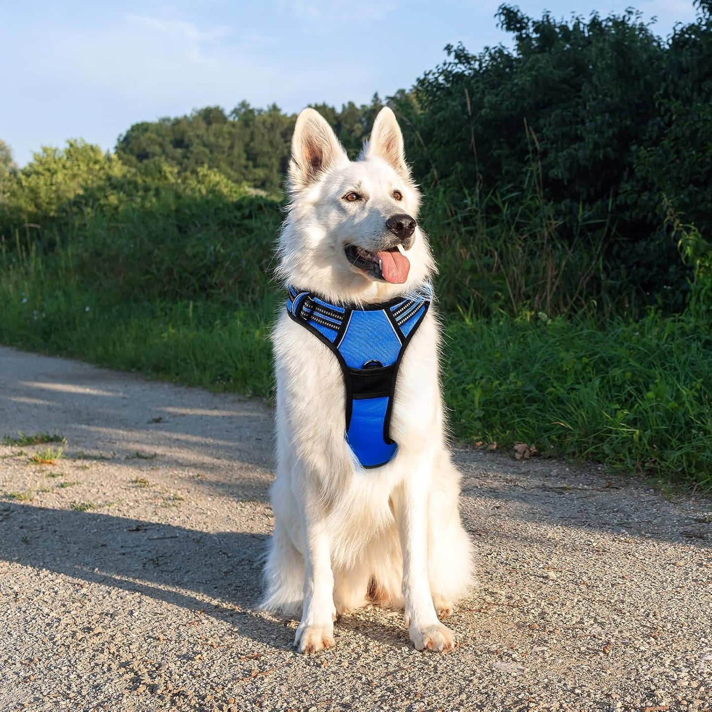 MOONORAH Dog Harness, No-Pull Pet Harness with 2 Leash Clips, Adjustable Soft Padded Dog Vest, Reflective Outdoor Pet Oxford Vest with Easy Control Handle for Medium Dogs, Navy Blue